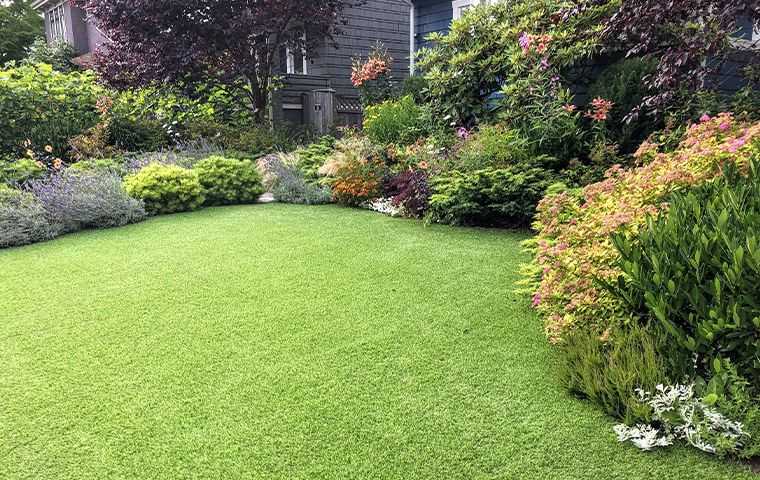 green lawn