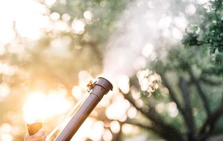 Nozzle of a application device applying mosquito treatment outside of a Del Rio, TX home